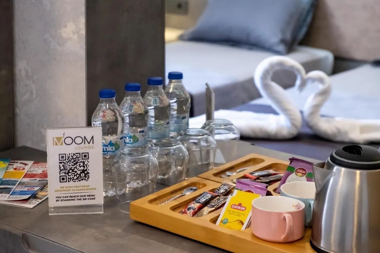 **  The Queen Hotel اسطنبول تركيا
